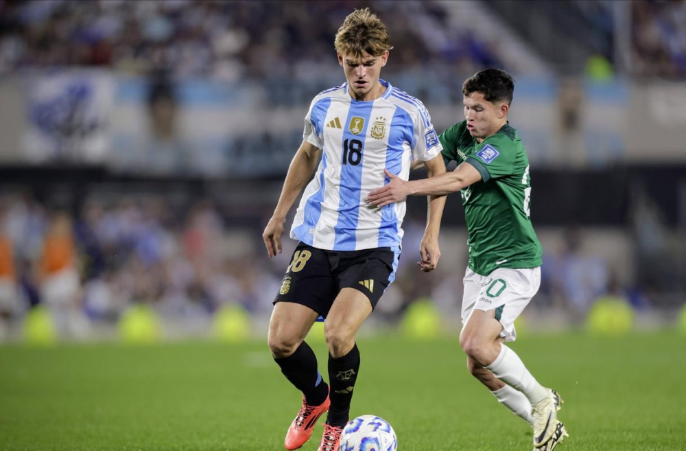 美洲杯的对 美洲杯的对