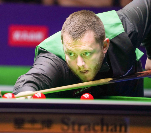 和业内人士 和业内人士