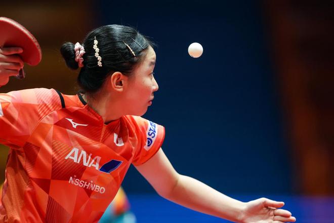 津浩的作用 津浩的作用